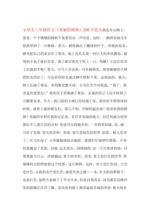 小学生三年级作文美丽的树林250字范文