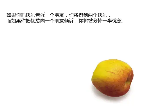 个人知识管理PPT课件