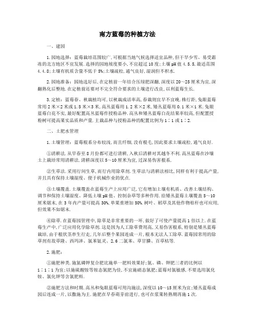 南方蓝莓的种植方法