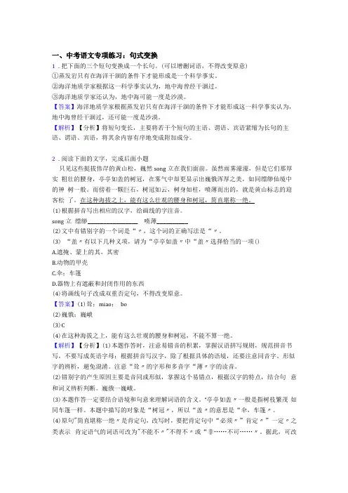 新中考语文句式变换及答案