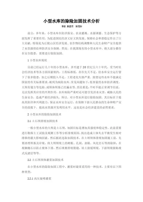 小型水库的除险加固技术分析