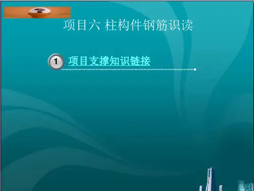 柱构件钢筋识读