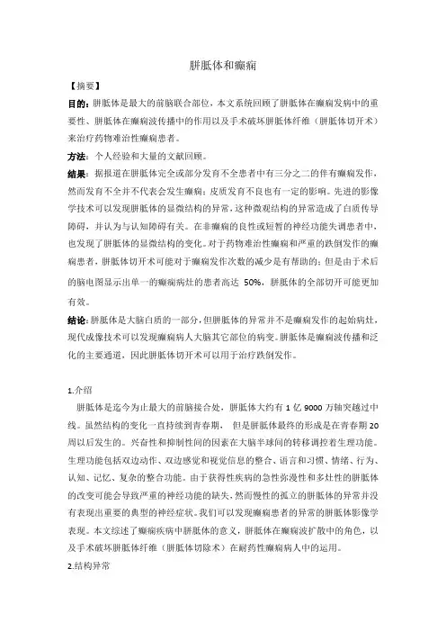 胼胝体和癫痫