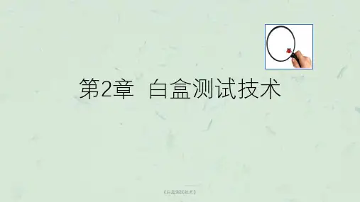 《白盒测试技术》课件