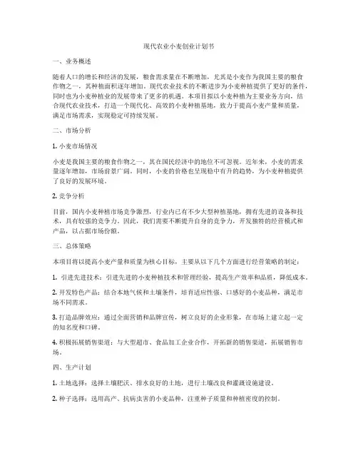 现代农业小麦创业计划书