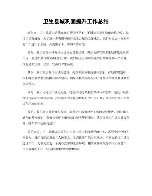 卫生县城巩固提升工作总结