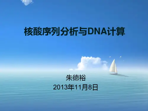 核酸序列分析与DNA计算