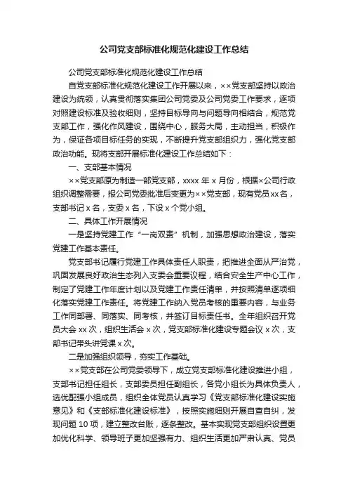 公司党支部标准化规范化建设工作总结