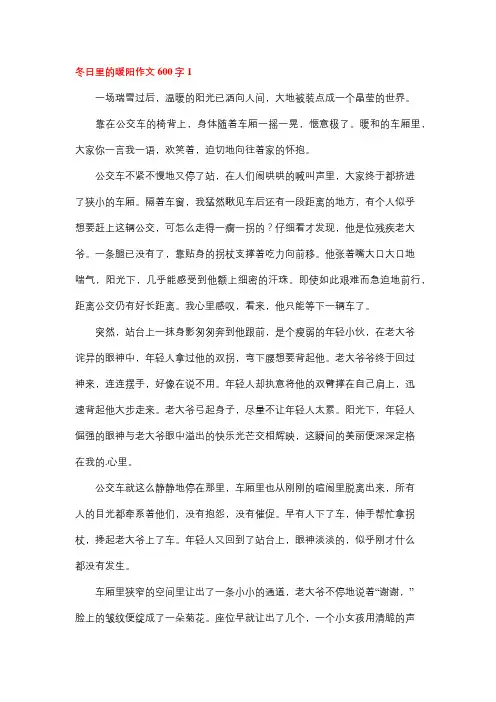 冬日暖阳六年级作文600字