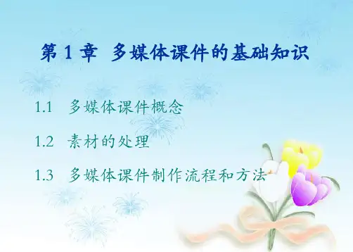 多媒体的基础知识PPT课件