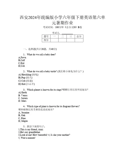 西安2024年统编版小学六年级下册第十四次英语第六单元暑期作业