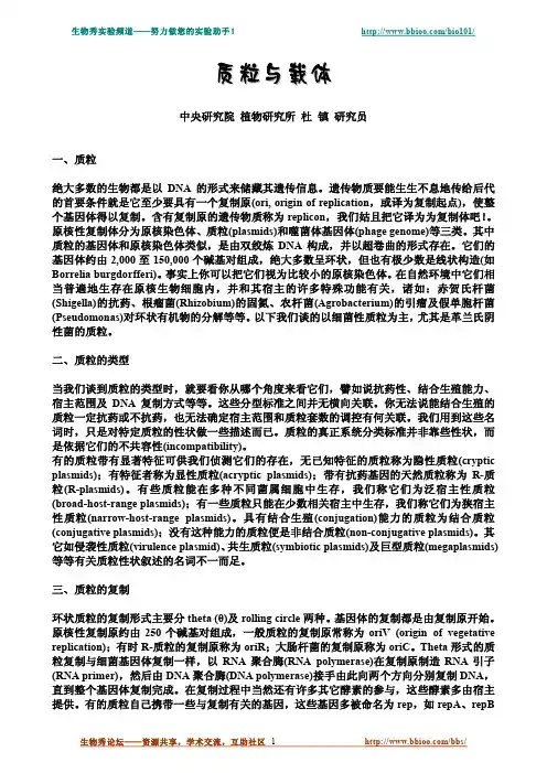 质粒与载体