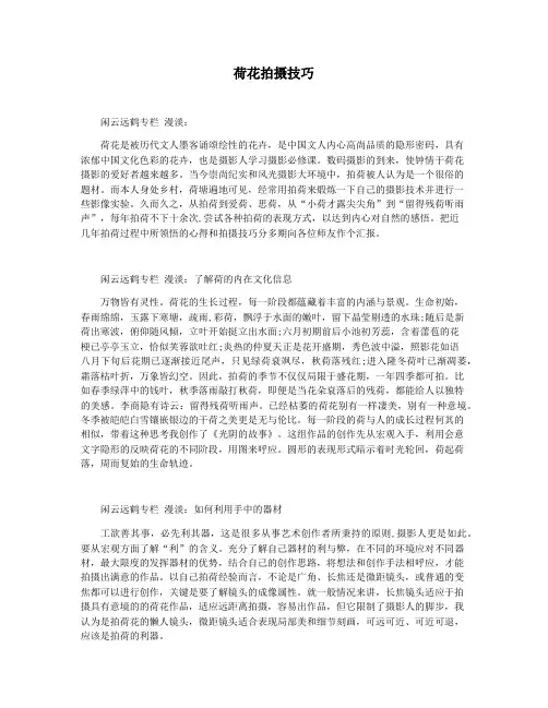 荷花拍摄技巧