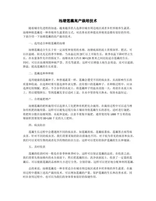 池塘莲藕高产栽培技术