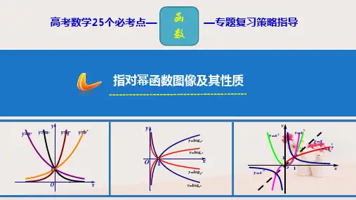 高考数学 25个必考点 专题02 指对幂函数图像及性质