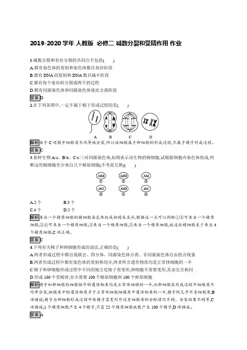2019-2020学年 人教版  必修二 减数分裂和受精作用 作业