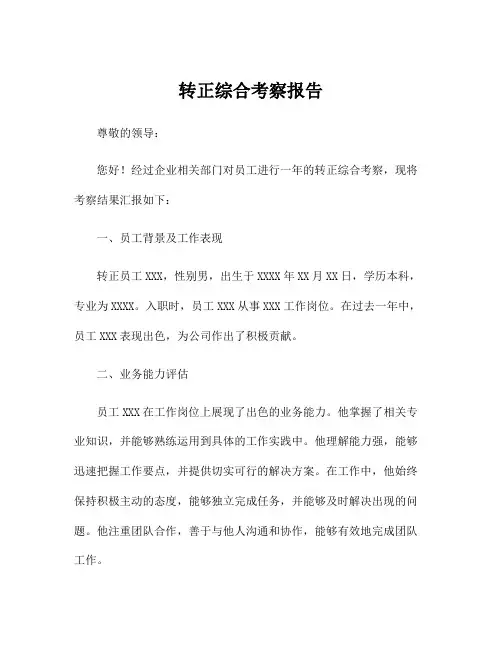 转正综合考察报告