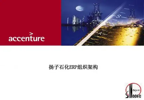 扬子石化erp组织架构v4.0