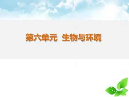 届中考生物生物与环境复习PPT课件(自制)