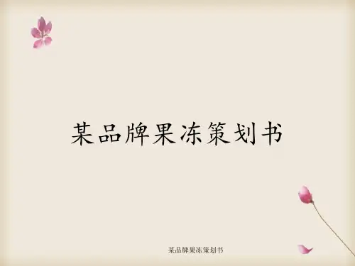 某品牌果冻策划书