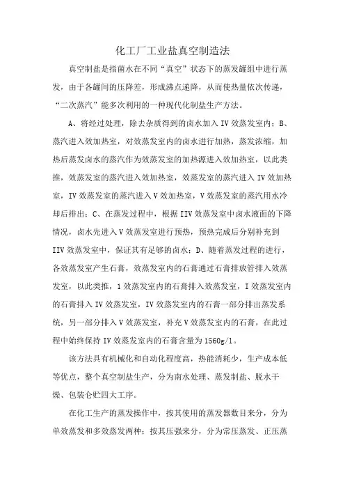 化工厂工业盐真空制造法