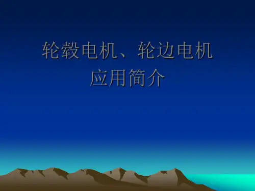 轮毂电机、轮边电机应用