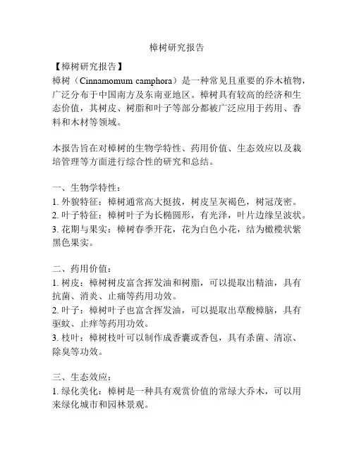 樟树研究报告