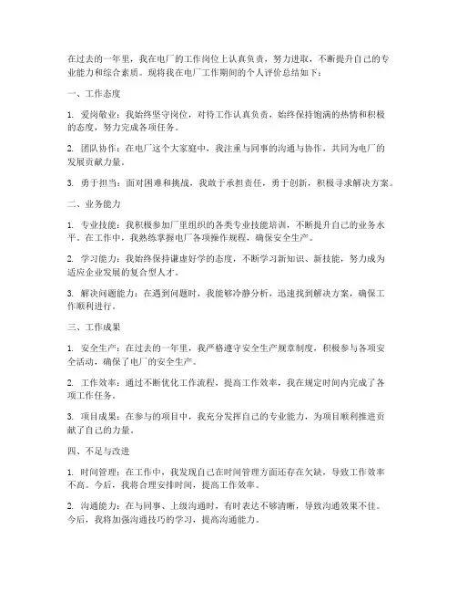 电厂工作总结个人评价