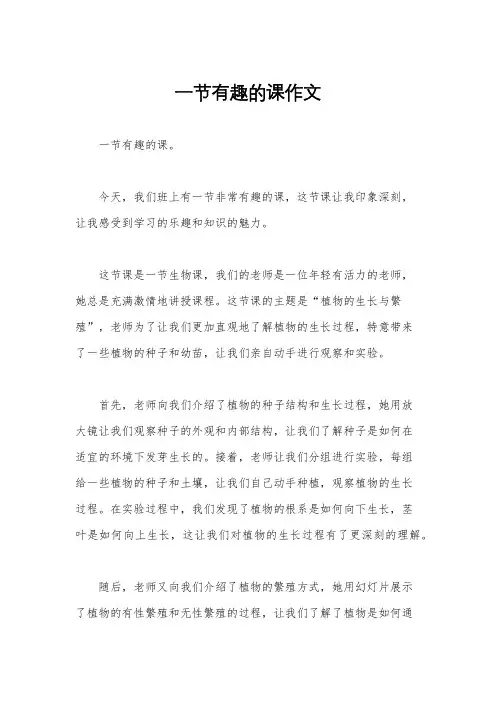 一节有趣的课作文