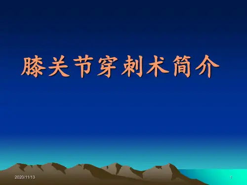 膝关节穿刺 ppt课件