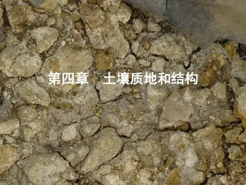 土壤学第四章土壤质地和结构