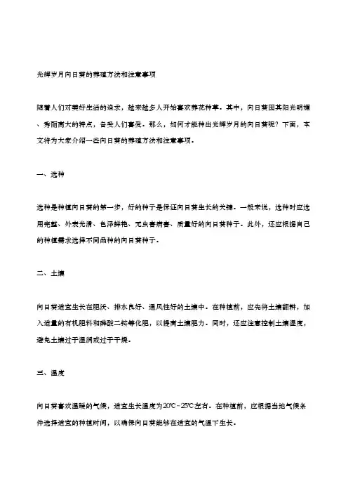 光辉岁月向日葵的养殖方法和注意事项