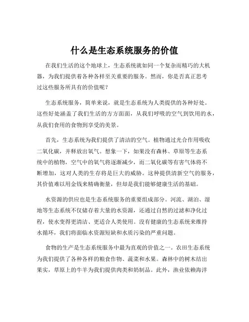 什么是生态系统服务的价值