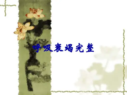 呼吸衰竭完整