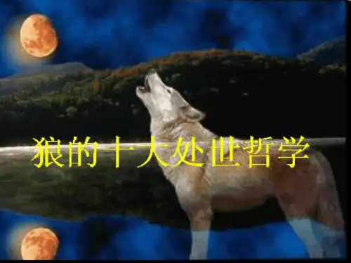 成功的狼性原则