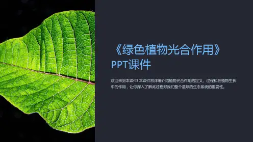 《绿色植物光合作用》课件