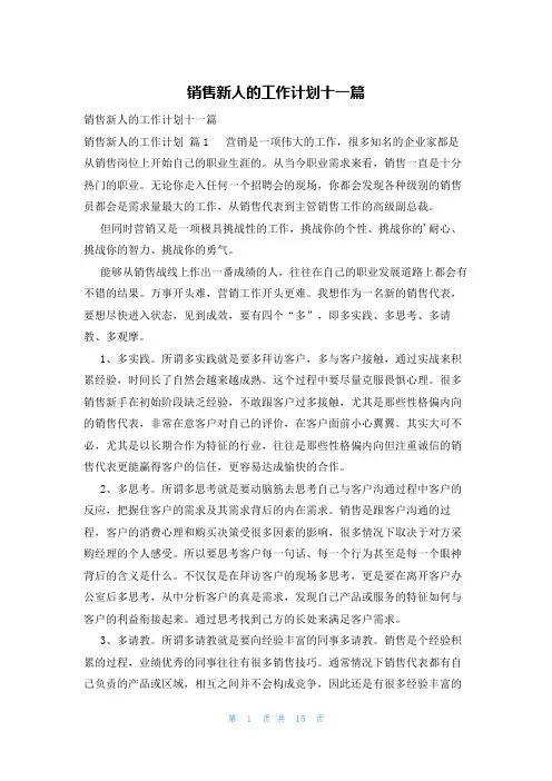 销售新人的工作计划十一篇