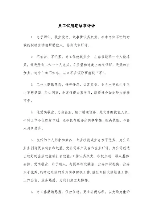 员工试用期结束评语（2篇）