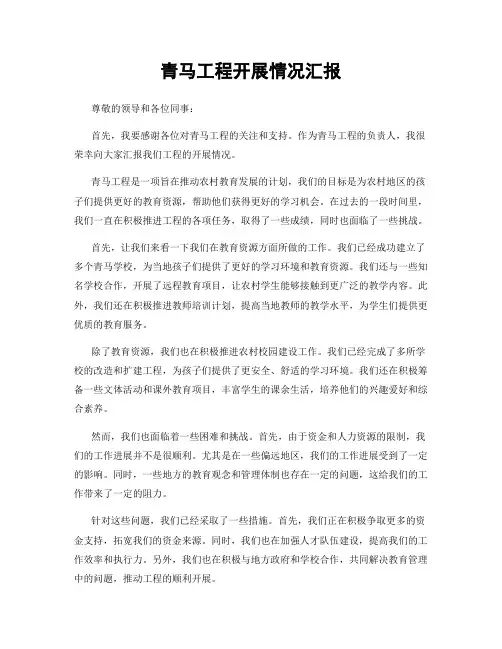 青马工程开展情况汇报