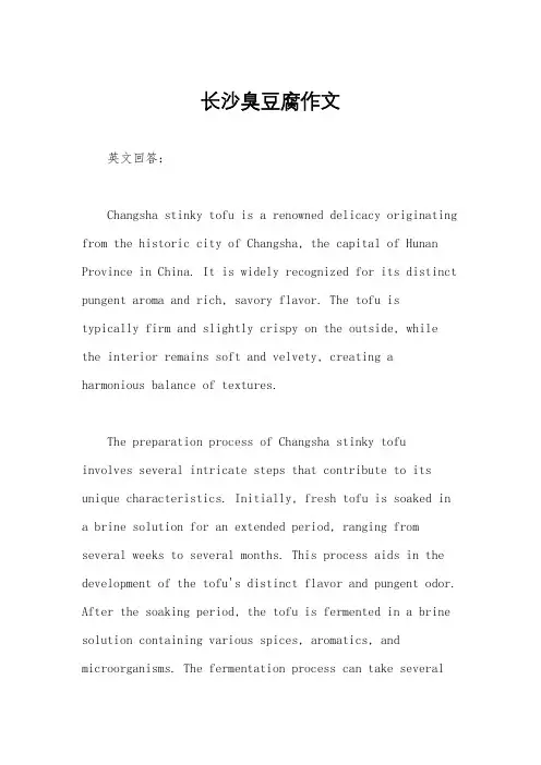 长沙臭豆腐作文