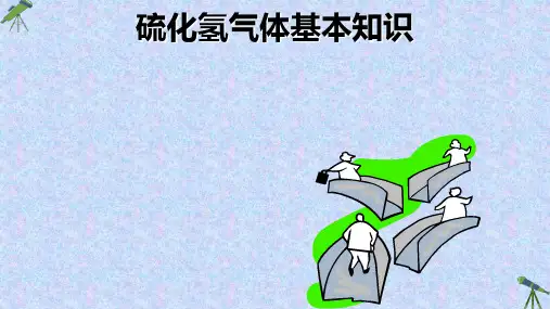 硫化氢基本知识
