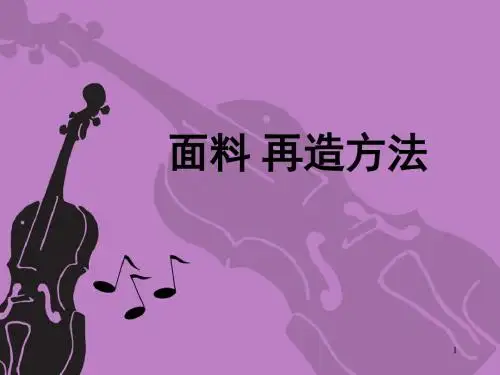 面料再造新方法ppt课件