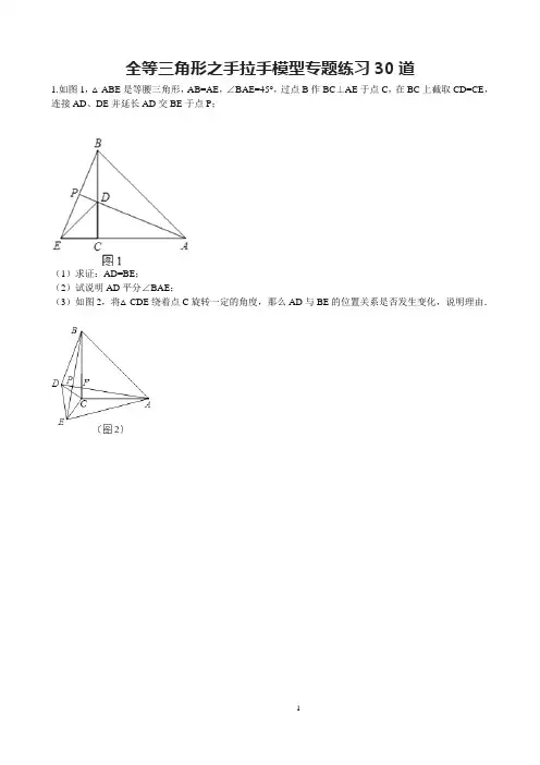 全等三角形之手拉手模型专题练习