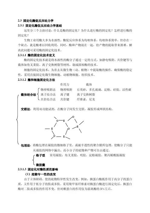 酶促反应
