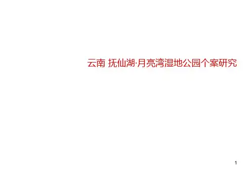 云南抚仙湖月亮湾湿地公园案例分析