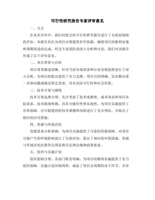 可行性研究报告专家评审意见