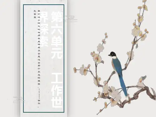 职业生涯规划-工作世界的探索
