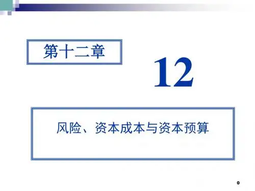 风险资本成本与资本预算ppt课件