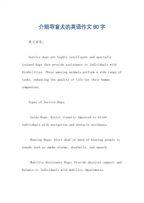介绍导盲犬的英语作文80字