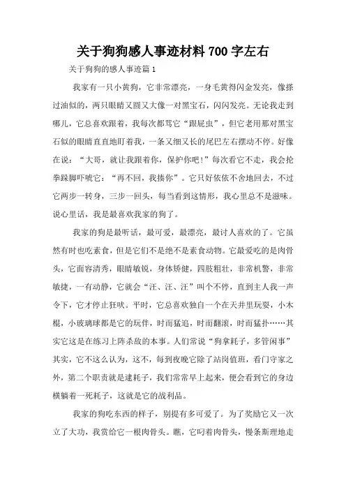 关于狗狗感人事迹材料700字左右
